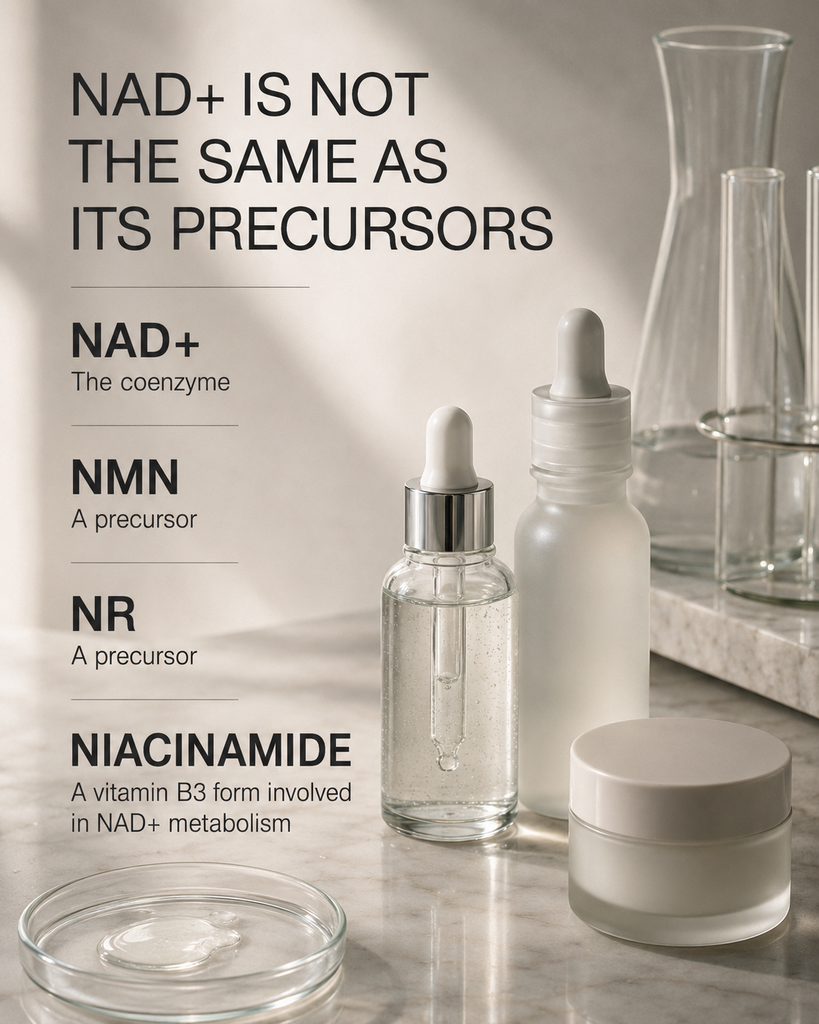 Guide explaining the difference between NAD plus NMN NR and niacinamide in skincare
